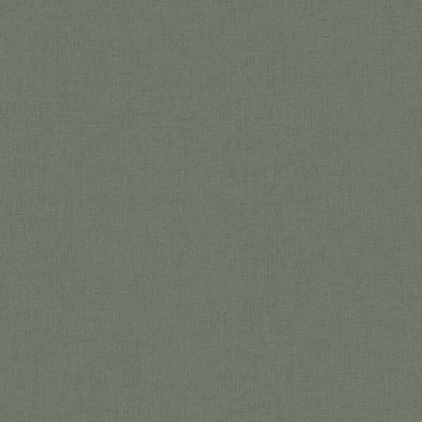 61041-06 Erismann Аэрис обои флизелиновые 1,06*10м/6