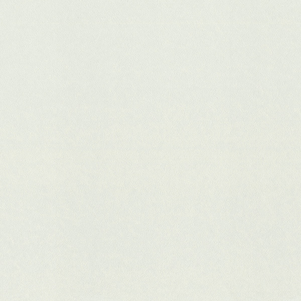 980318 Rasch Освежись обои флизелиновые 1,06*10м/6