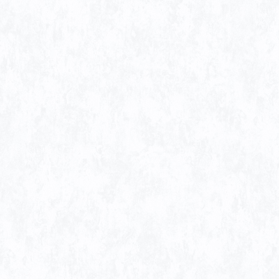 VR8611-09 Вернисаж обои флизелиновые 1,06*10м/6