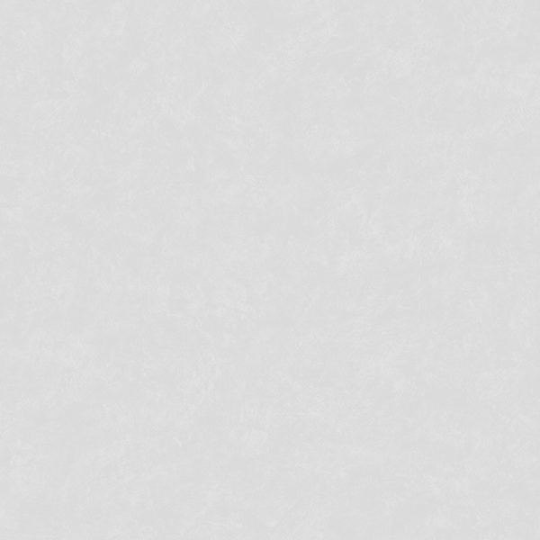 70294-14 Аспект обои флизелиновые 1,06*10м/6